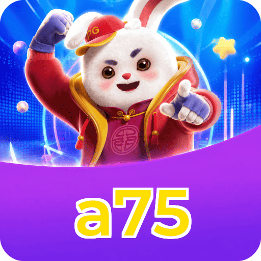 a75 Interface